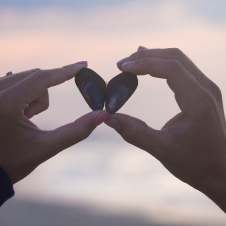 Two hands hold two mussel shells together to form a heart, symbolising connection and unity.